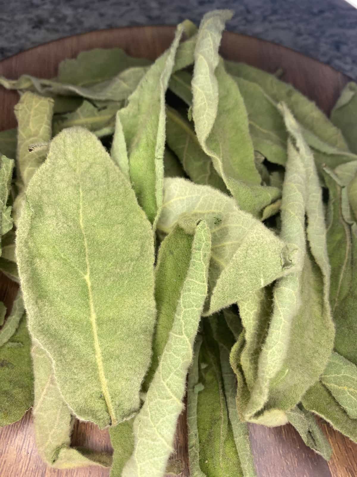 Dried Wild 1st Year Mullein Leaves - Buy Online | Foraged
