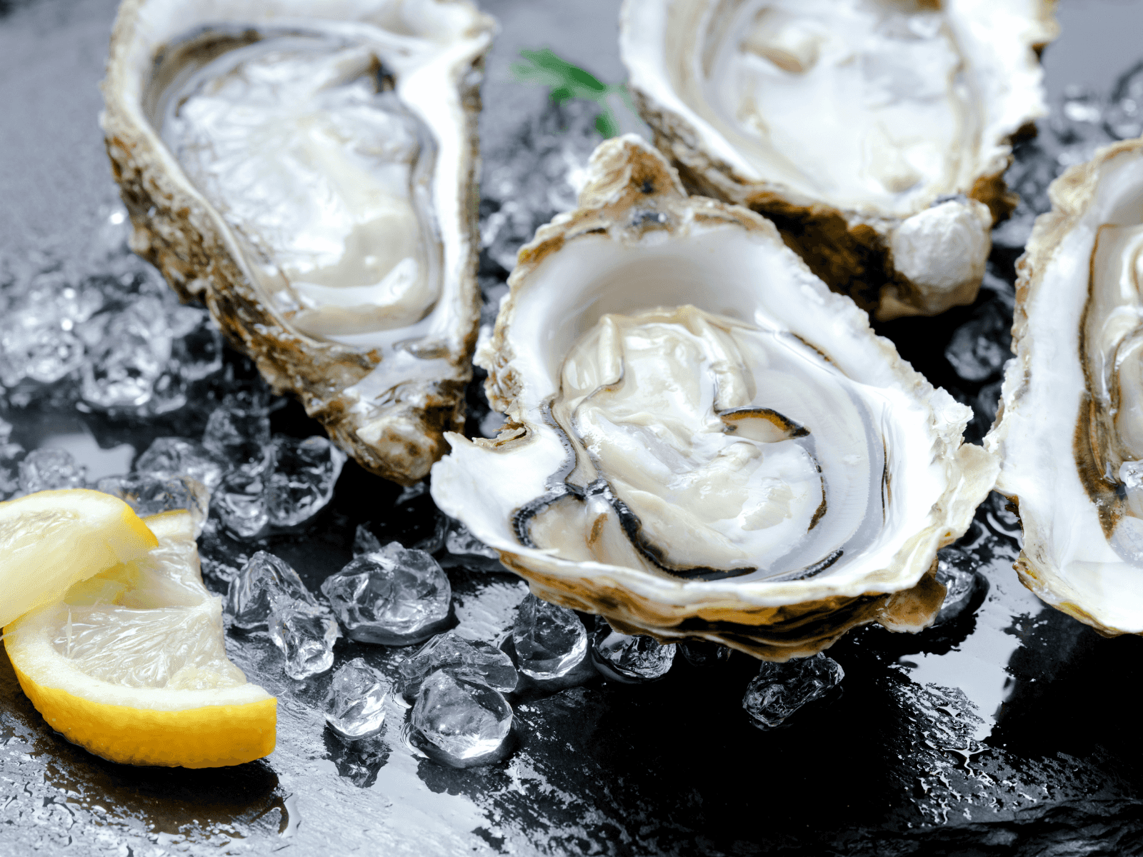 2 Dozen of Live Fresh Oyster in the Shell