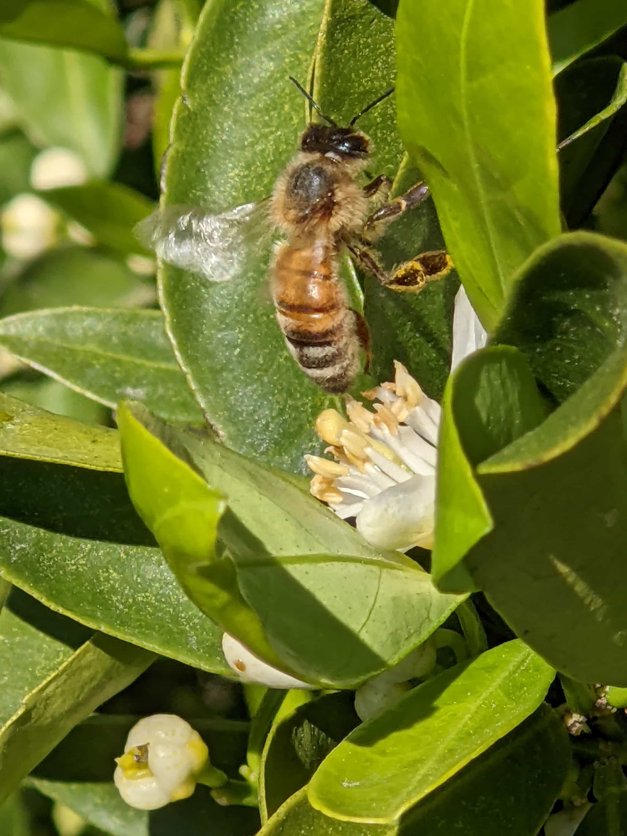 Product thumbnail #4