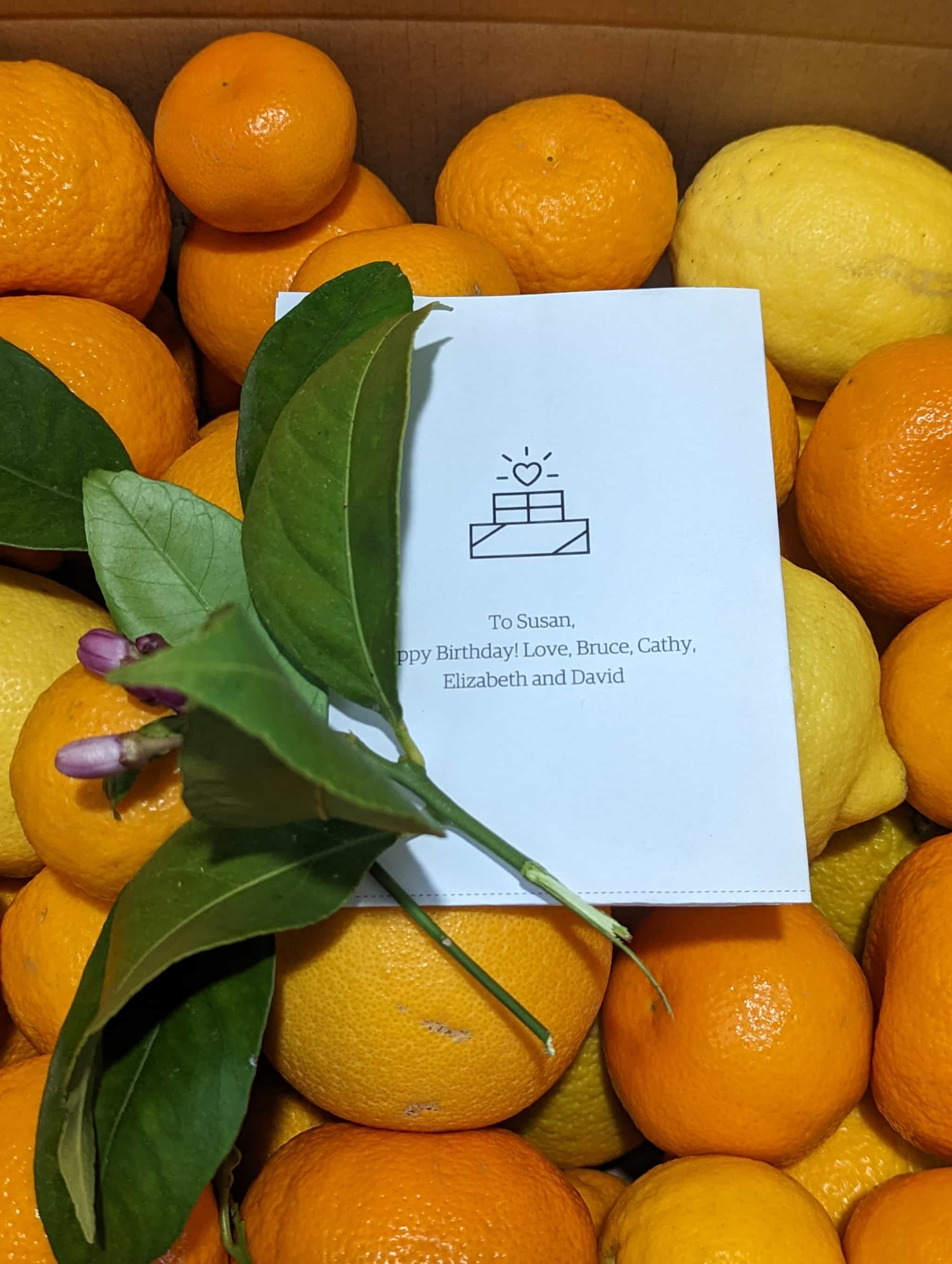 Farmers Choice Gourmet Gift Box  appx 8 lbs Citrus Mix