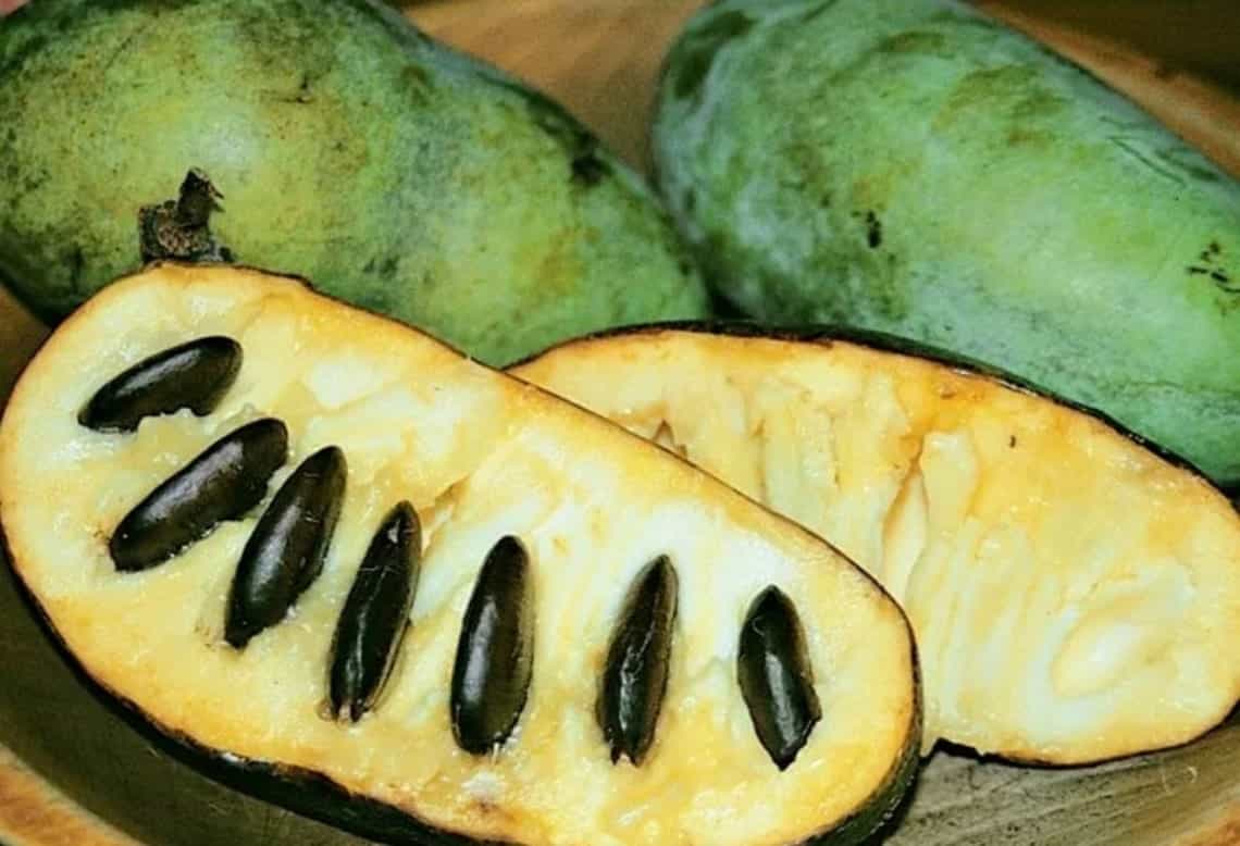 Product thumbnail #1