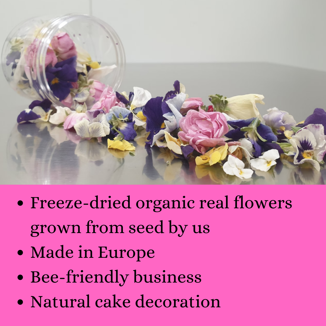 Dried edible flowers for cakes decorating, Freeze dried flowers, Edible  cake toppers, Rose cupcakes, Flowers for cake decoration