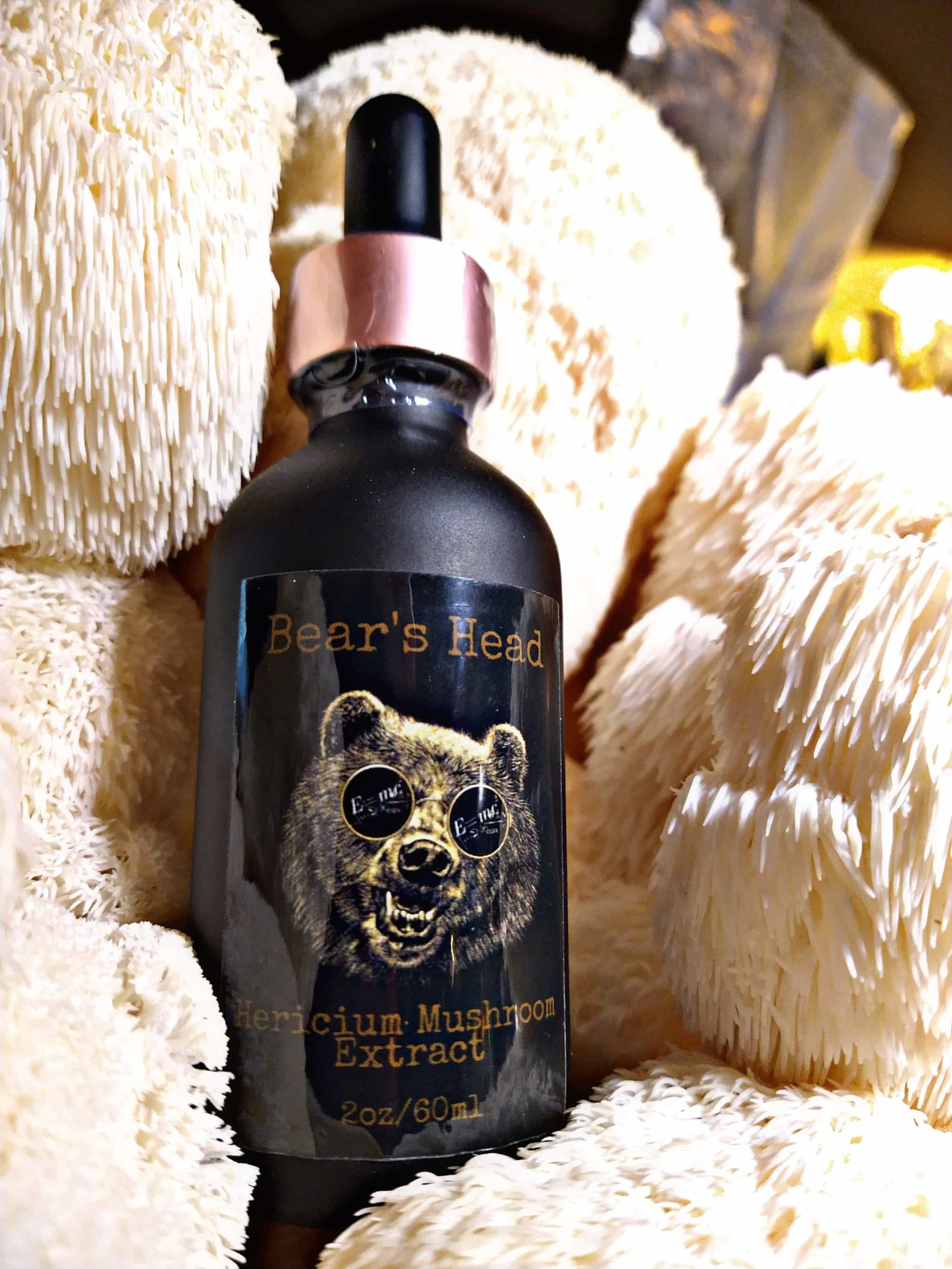"Bear's Head" Double-Extracted Lion's Mane Mushroom Tincture