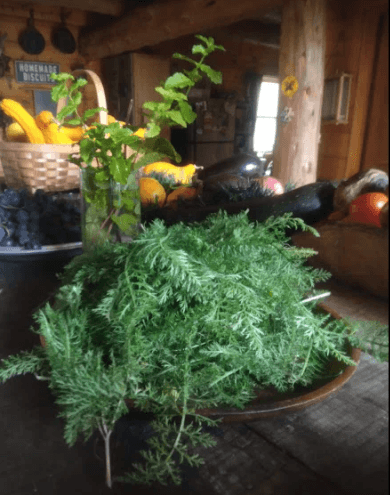 Product thumbnail #1