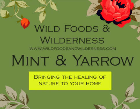 Product thumbnail #2