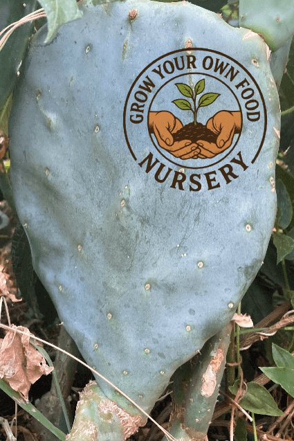 Product thumbnail #2