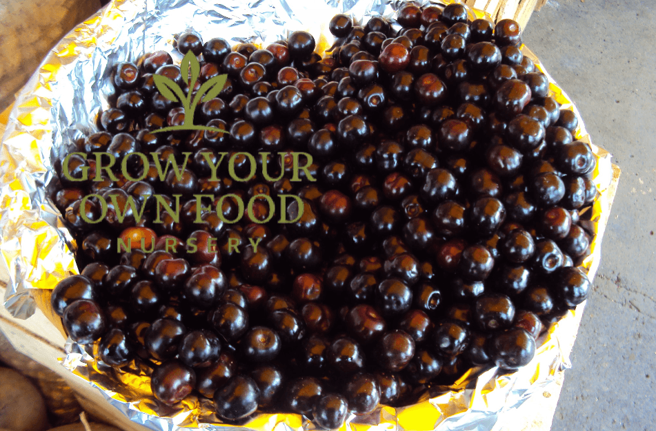 Product thumbnail #1