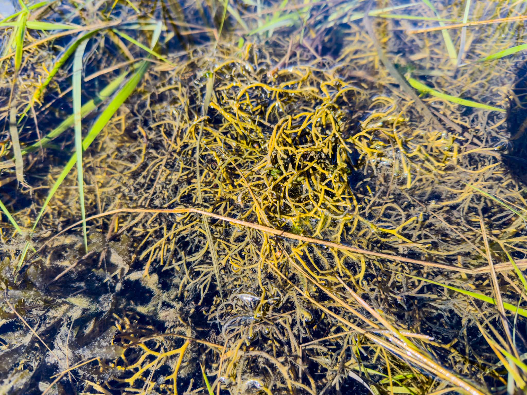 Product thumbnail #1