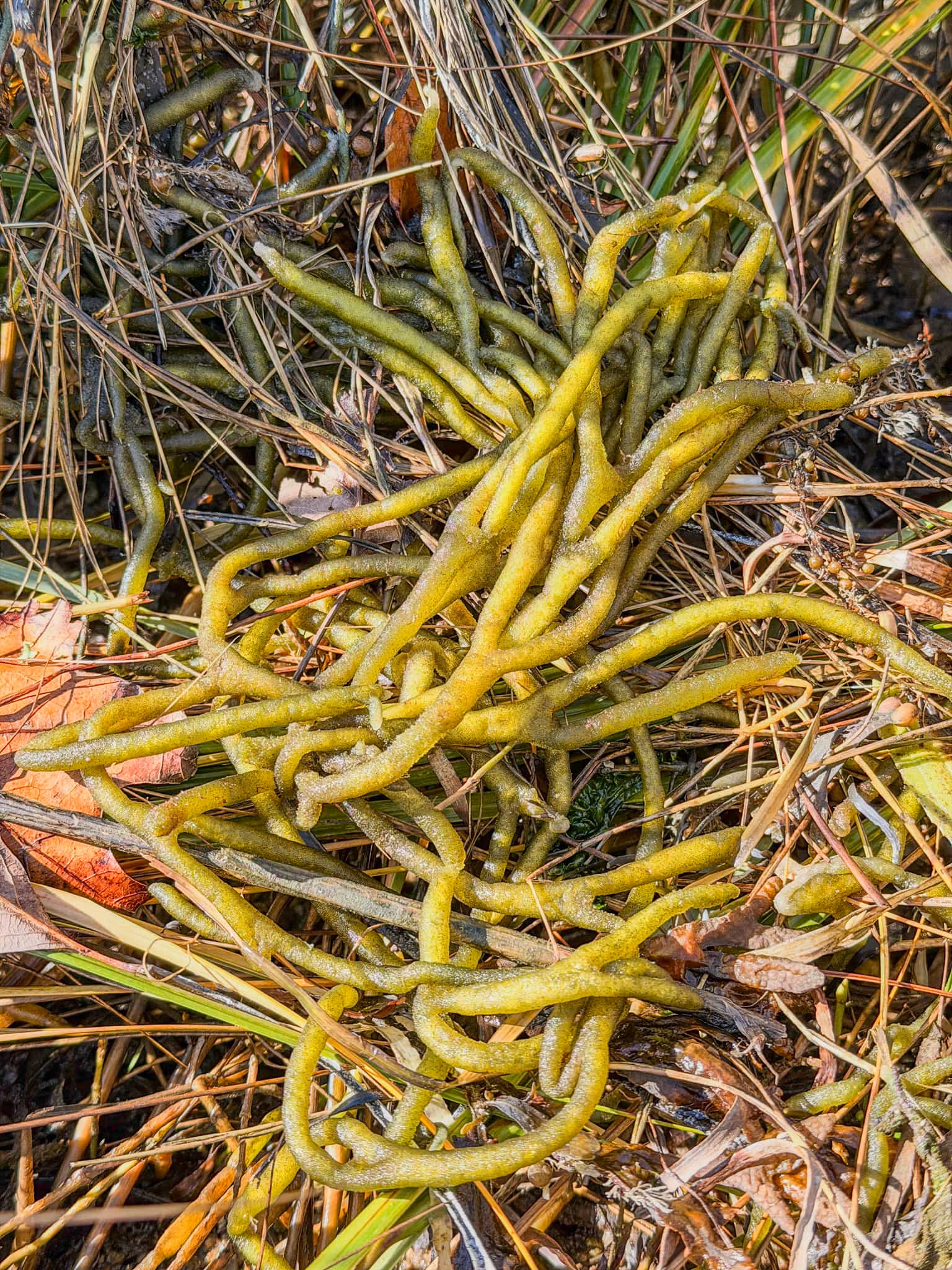 Product thumbnail #2