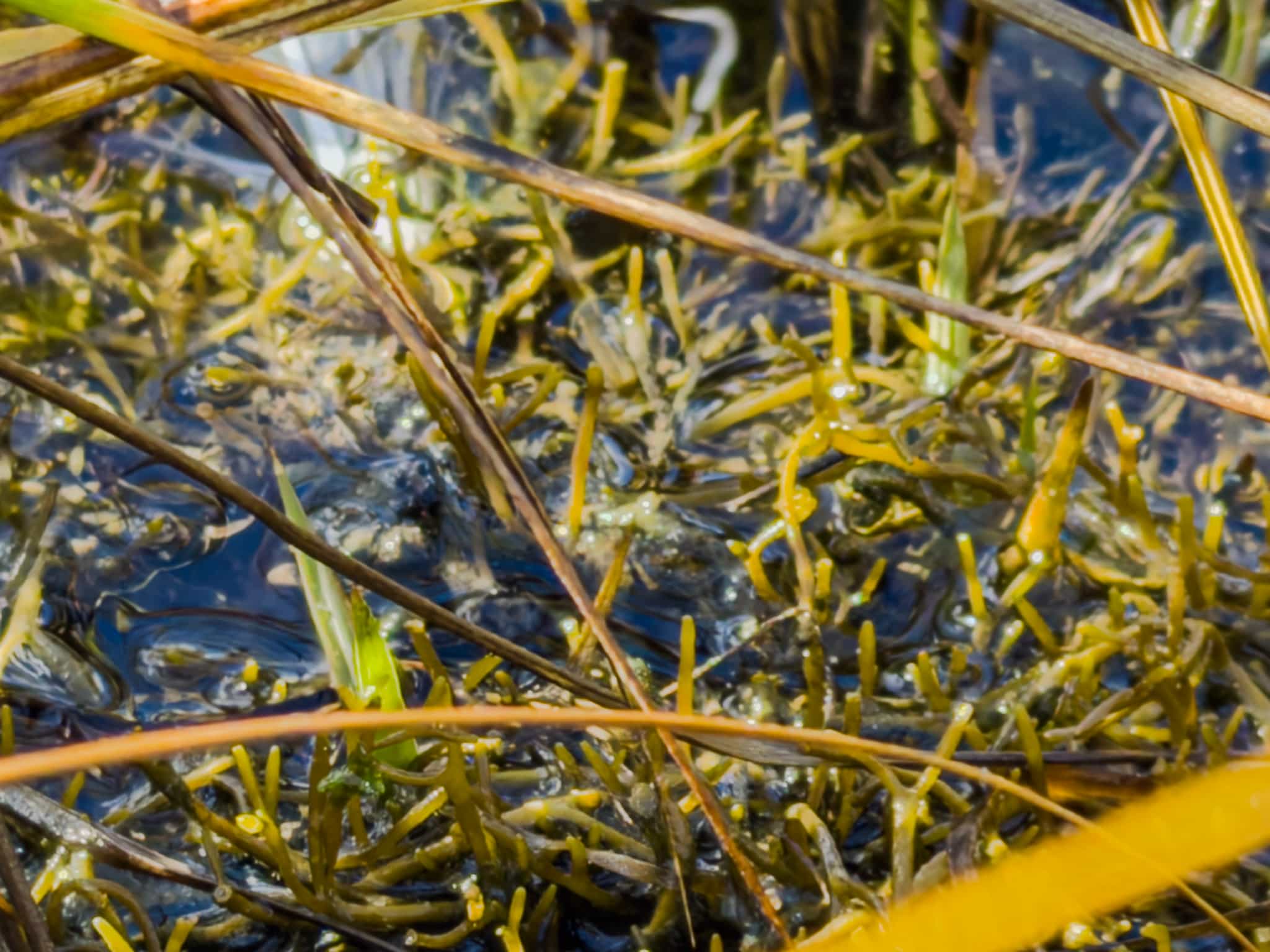 Product thumbnail #1