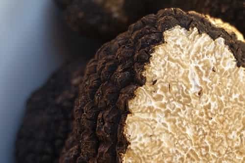 Fresh Summer Truffles
