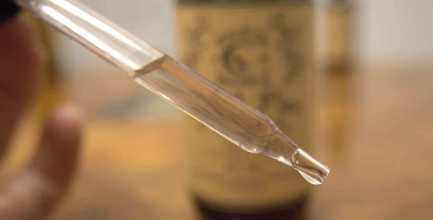 Ghost Pipe Tincture Foraged