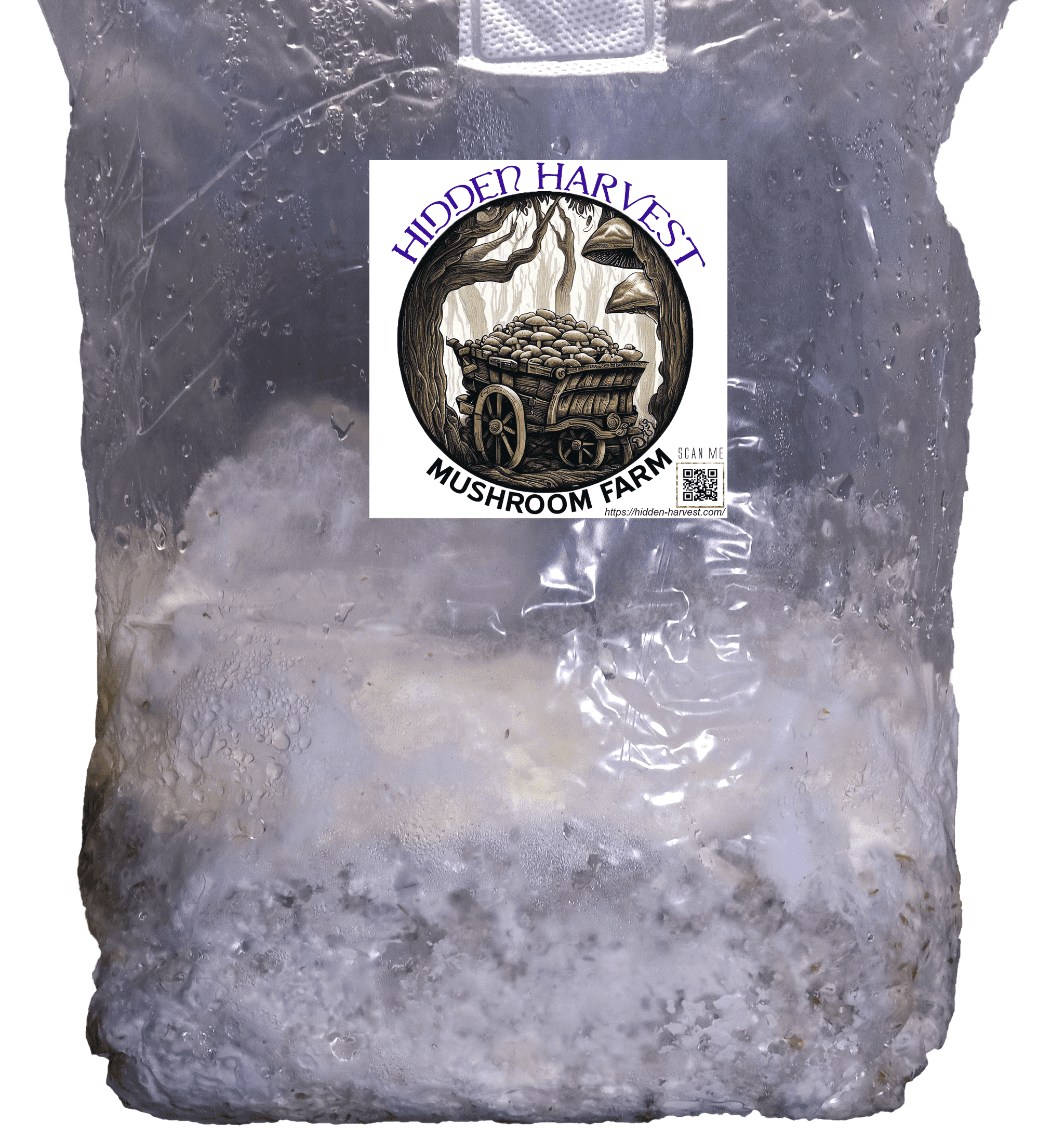 Product thumbnail #1