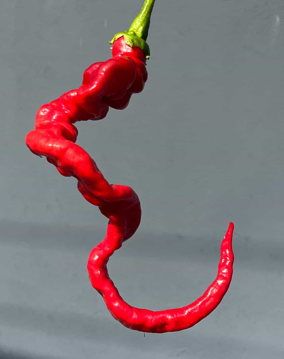 Product thumbnail #1
