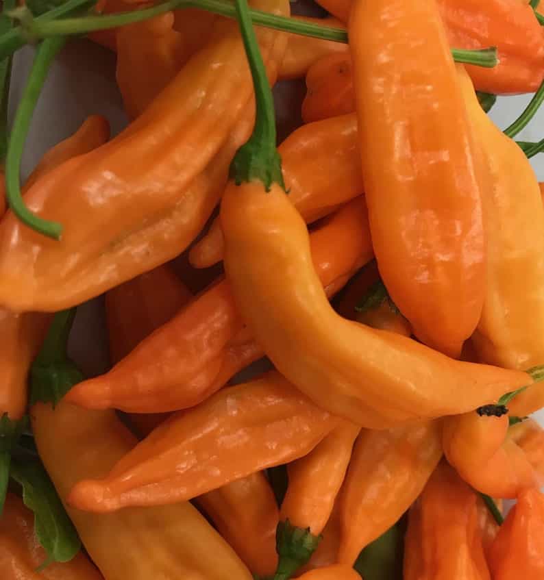 Product thumbnail #1