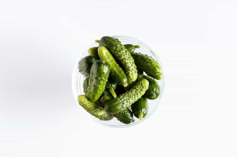 Parisian Pickling Pickler French Cornichon Cucumber Heirloom Premium