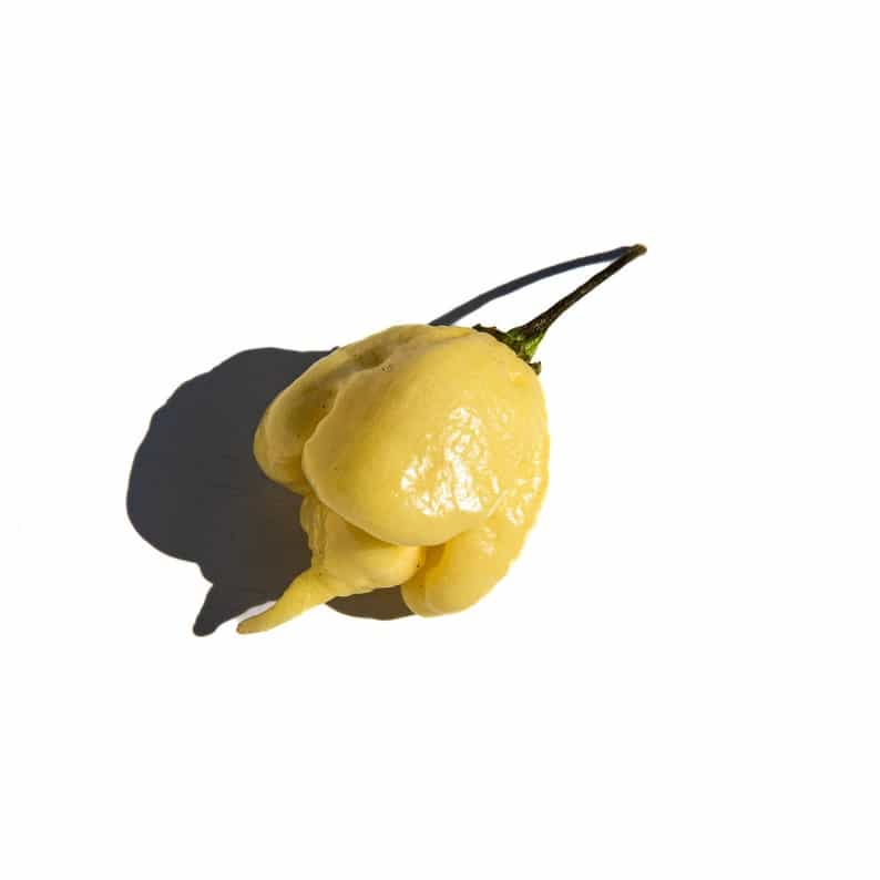Product thumbnail #2