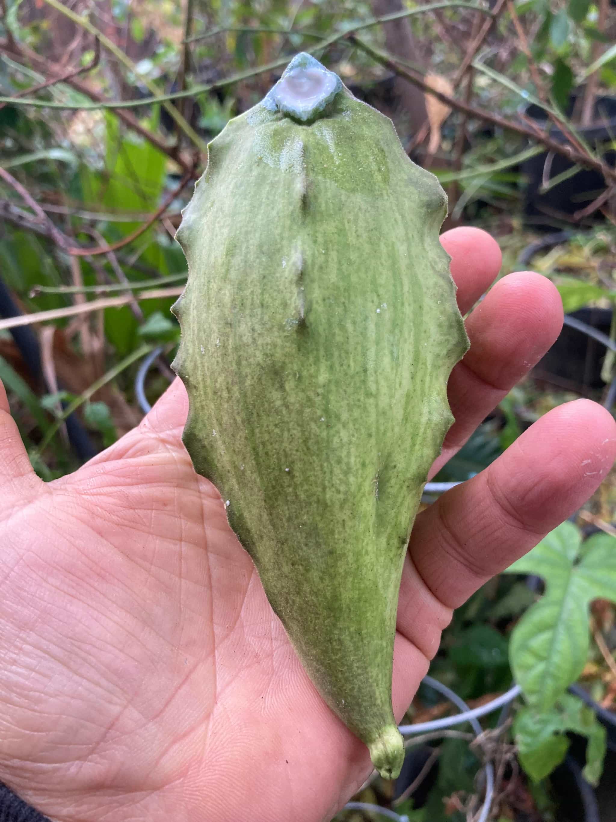 Product thumbnail #5