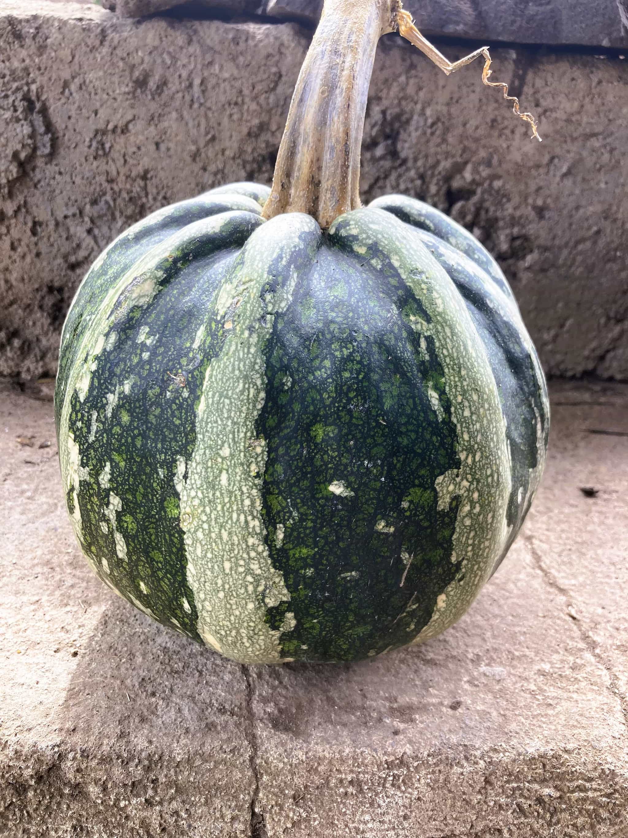 Product thumbnail #2