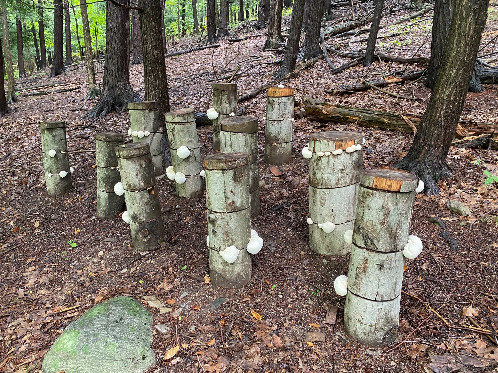 Product thumbnail #3