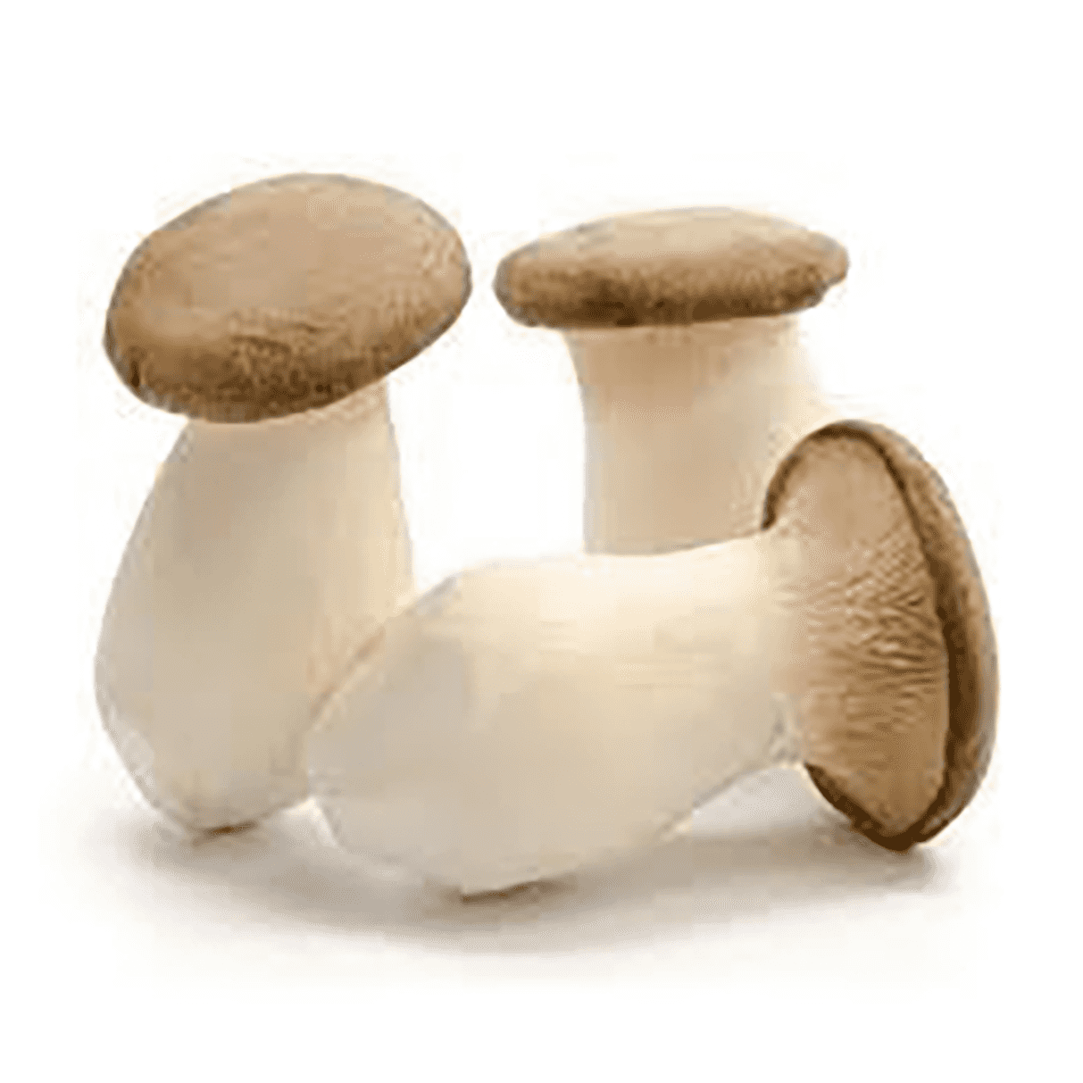 Product image #1