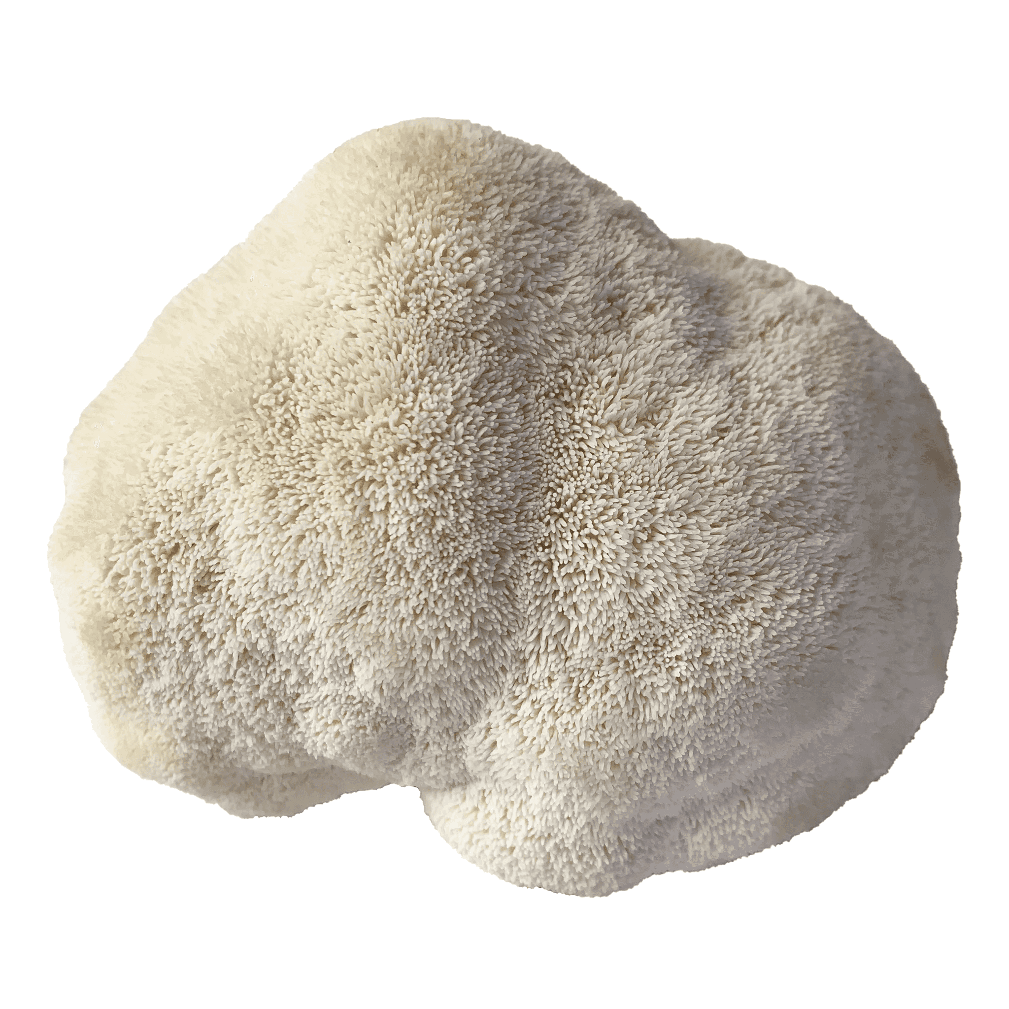 Product image #1