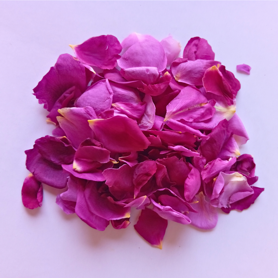 Prince Charles Bourbon Rose - Dried Rose Petals, Edible, Food Grade Red  Petals for Cooking and Tea