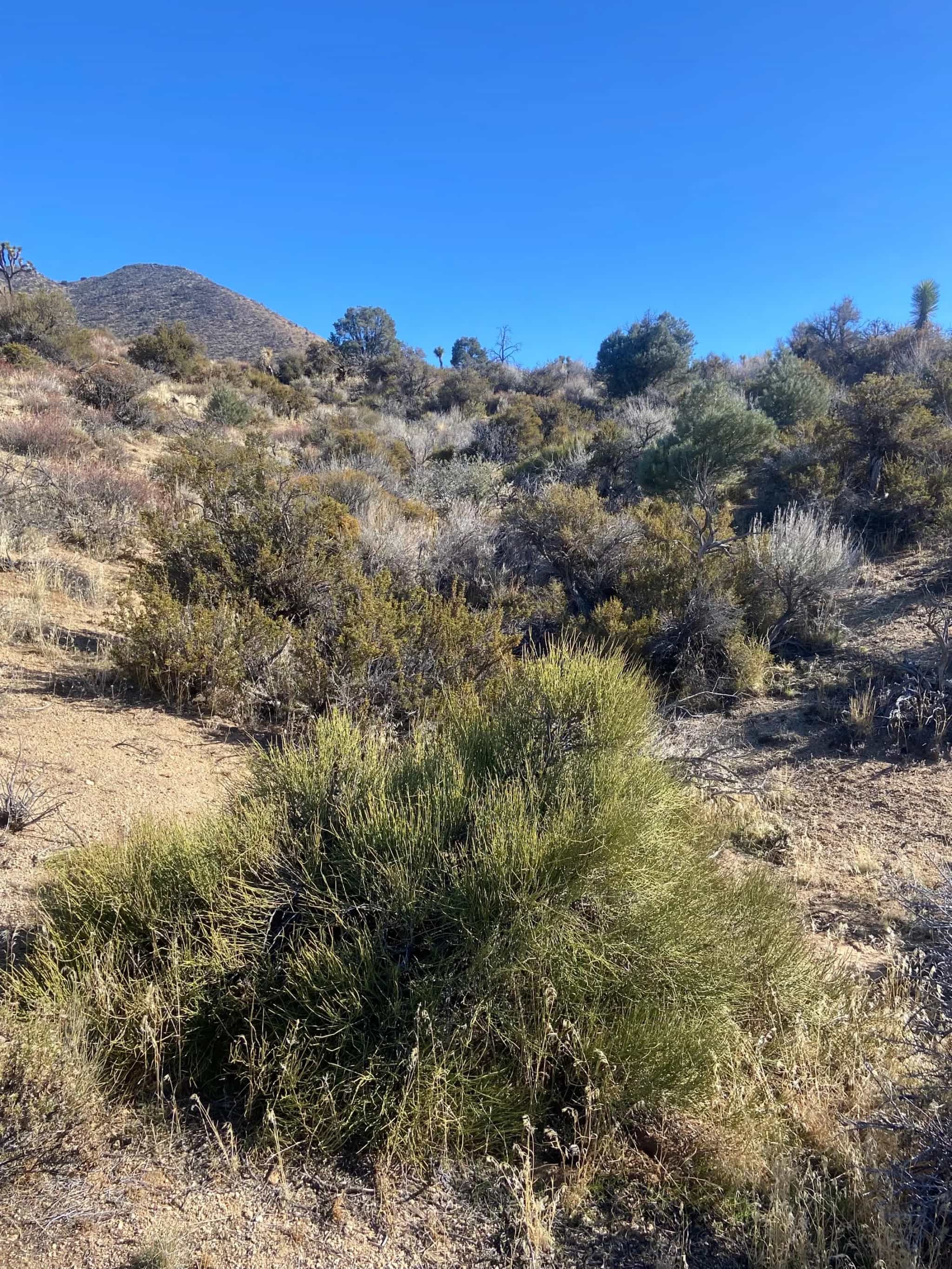 Product thumbnail #9