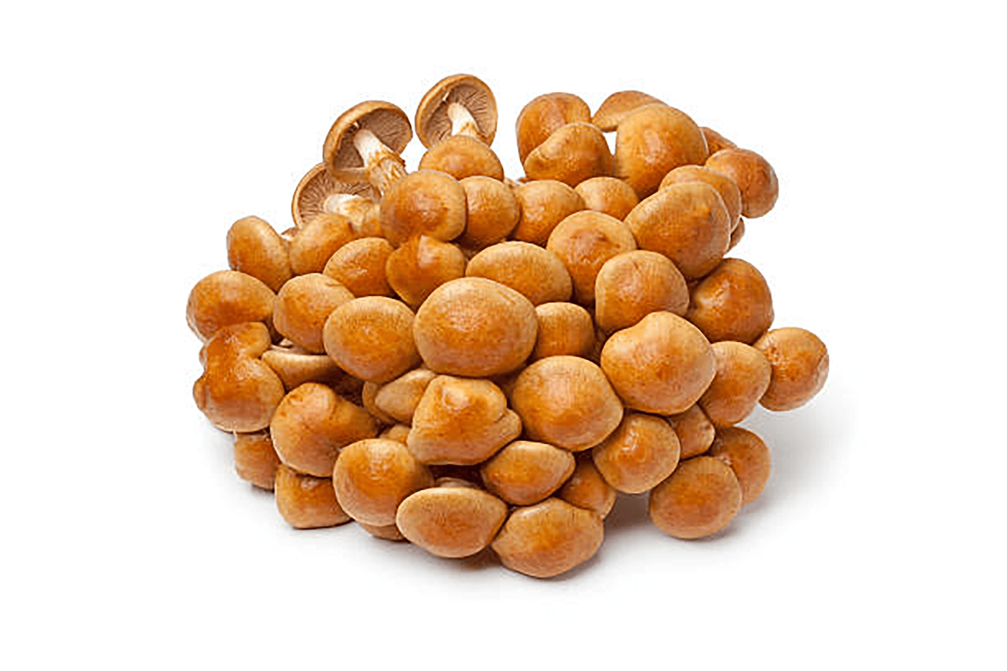 Product image #1