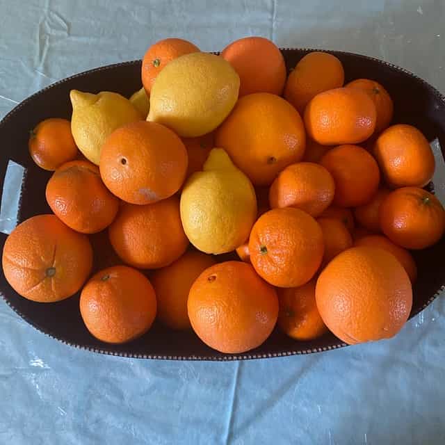 Gourmet California Citrus Combo  Pack Sicilian Style Lemons, Gourmet Navel Oranges Murcott"cutie style" Tangerines  appx 8lbs 18/24ct No Spray  No Wax  No Processing  No  Packing Material