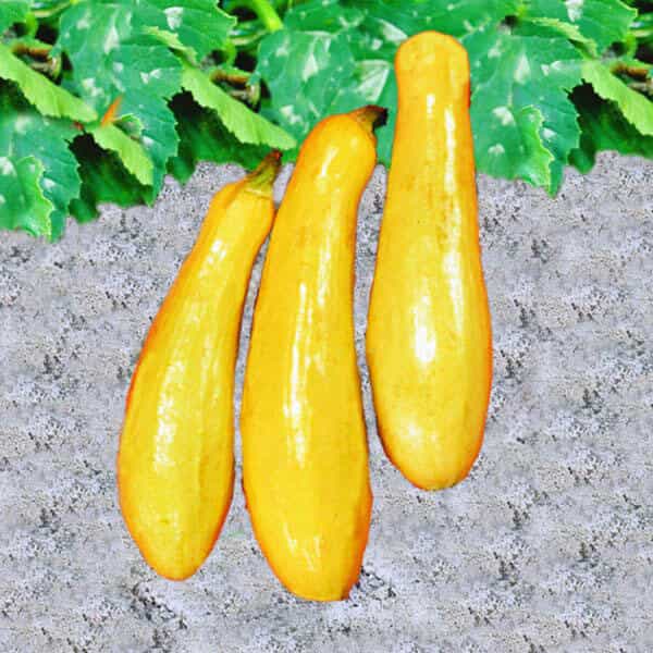 Product image #0