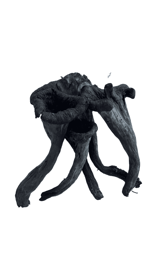 Product thumbnail #1