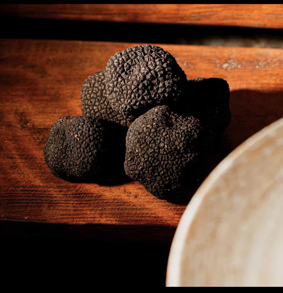 Italian Black Truffles