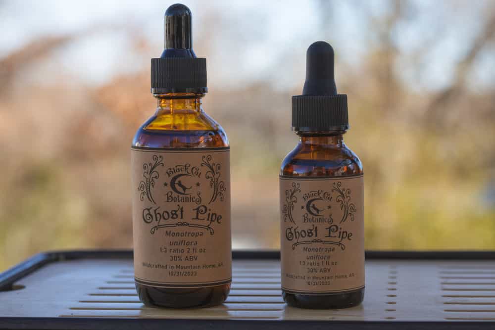 Ghost Pipe Tincture Foraged