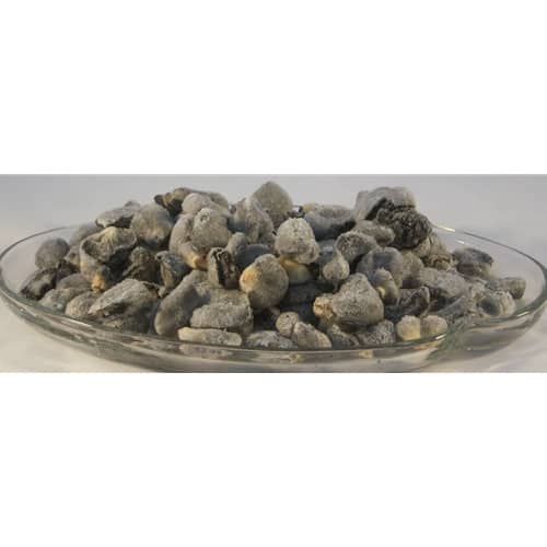 Frozen Huitlacoche Mexican Truffles