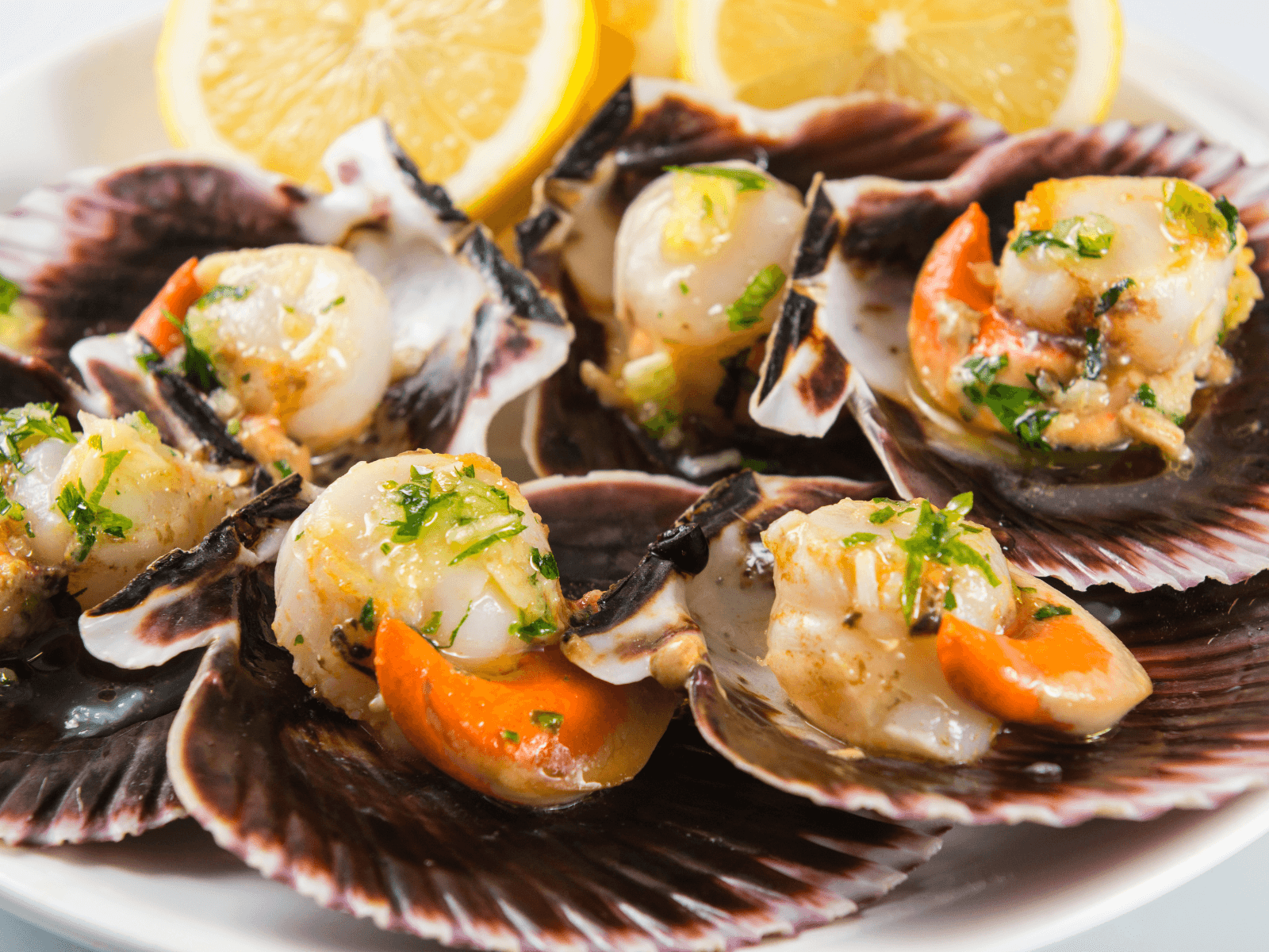 King Scallop on the half shell with roe