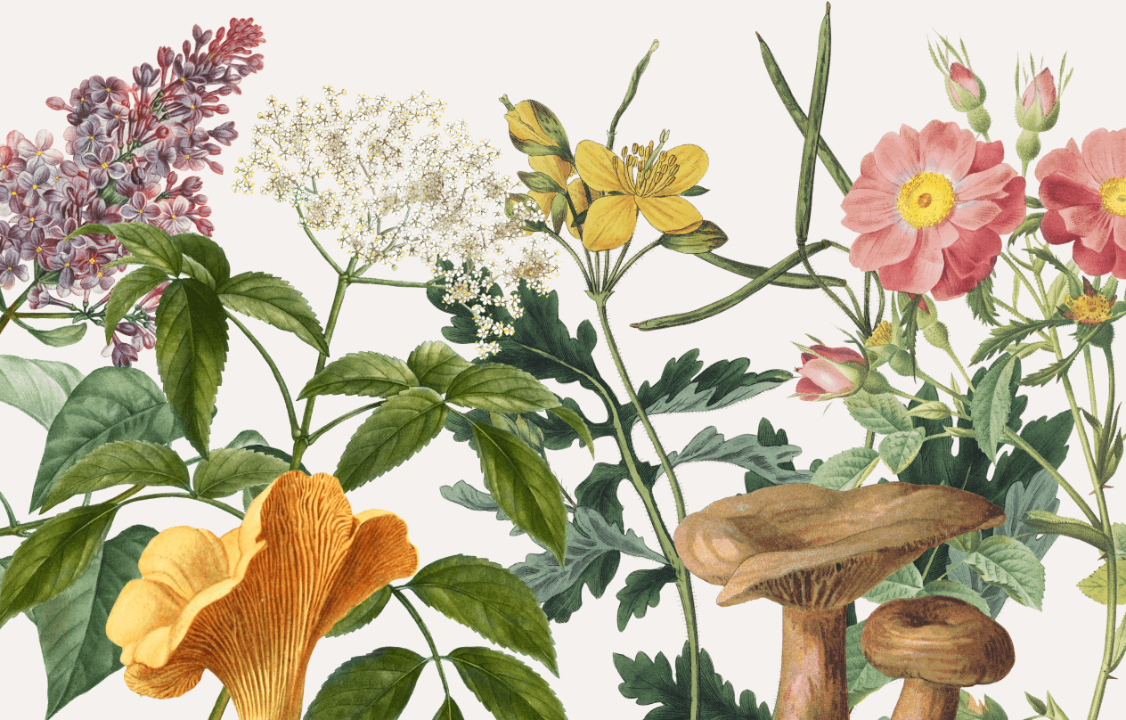 Fibonacci's Mount Healthy Farmers Market