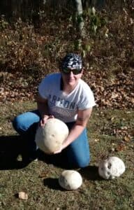SELLER SPOTLIGHT: NORTH WOODS FORAGER