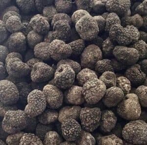 THE ESSENTIAL GUIDE TO TRUFFLES