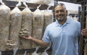 SELLER SPOTLIGHT: ALPENGLOW MUSHROOMS