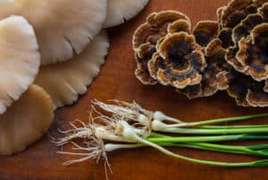 WINTER FORAGING 101