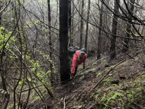 FORAGED SELLER SPOTLIGHT: OREGON COAST MUSHROOMS