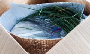 HOW TO SHIP FRESH PRODUCE
