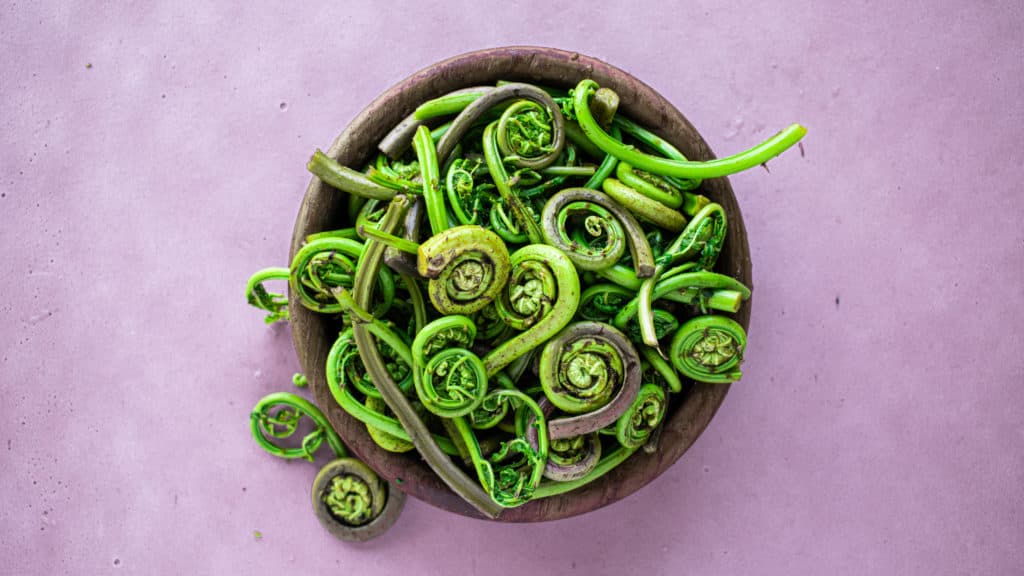 HOW TO COOK FIDDLEHEADS
