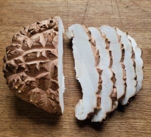 LOG GROWN SHIITAKE: THE ULTIMATE GUIDE