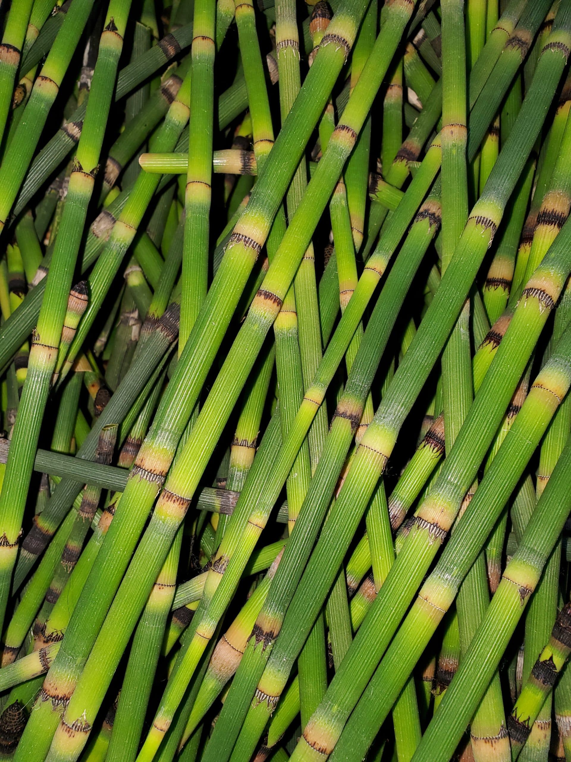 Product image #1