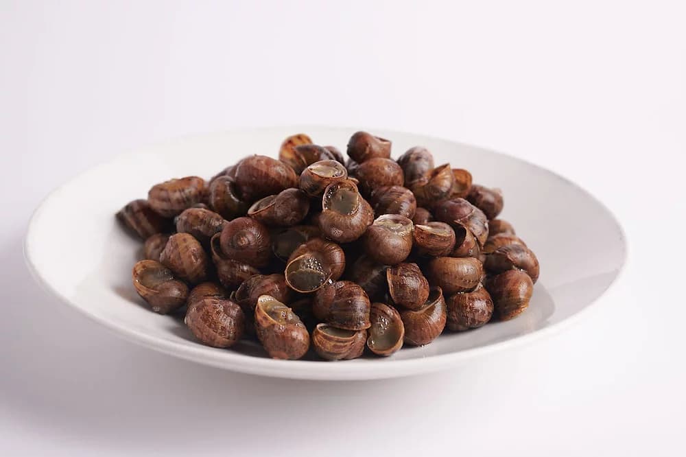 Product image #1