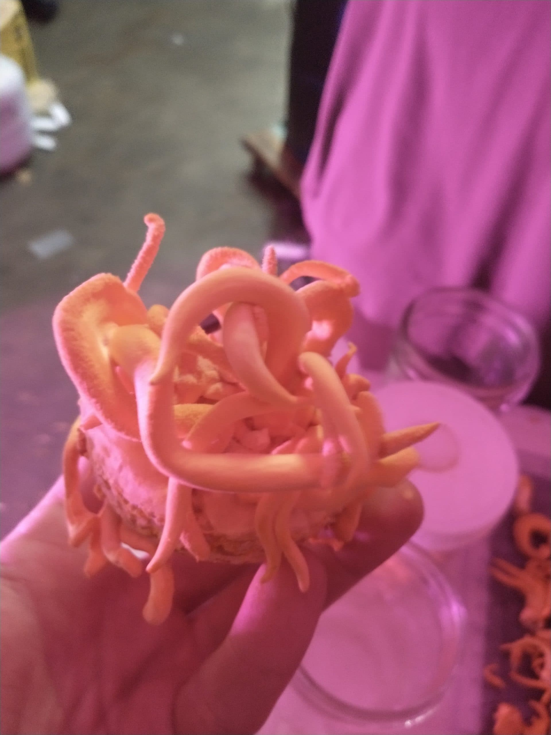 Product image #1