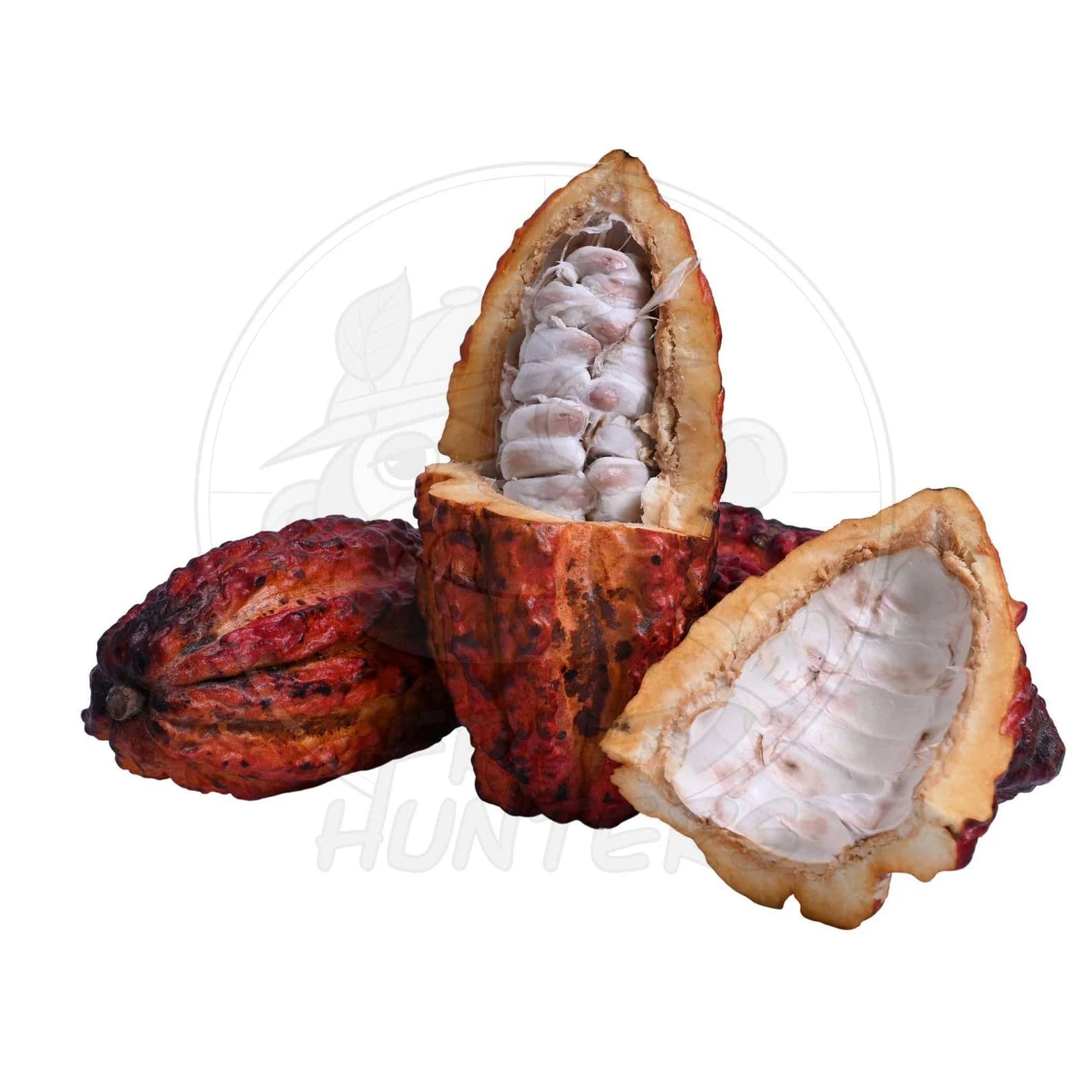 Product image #1