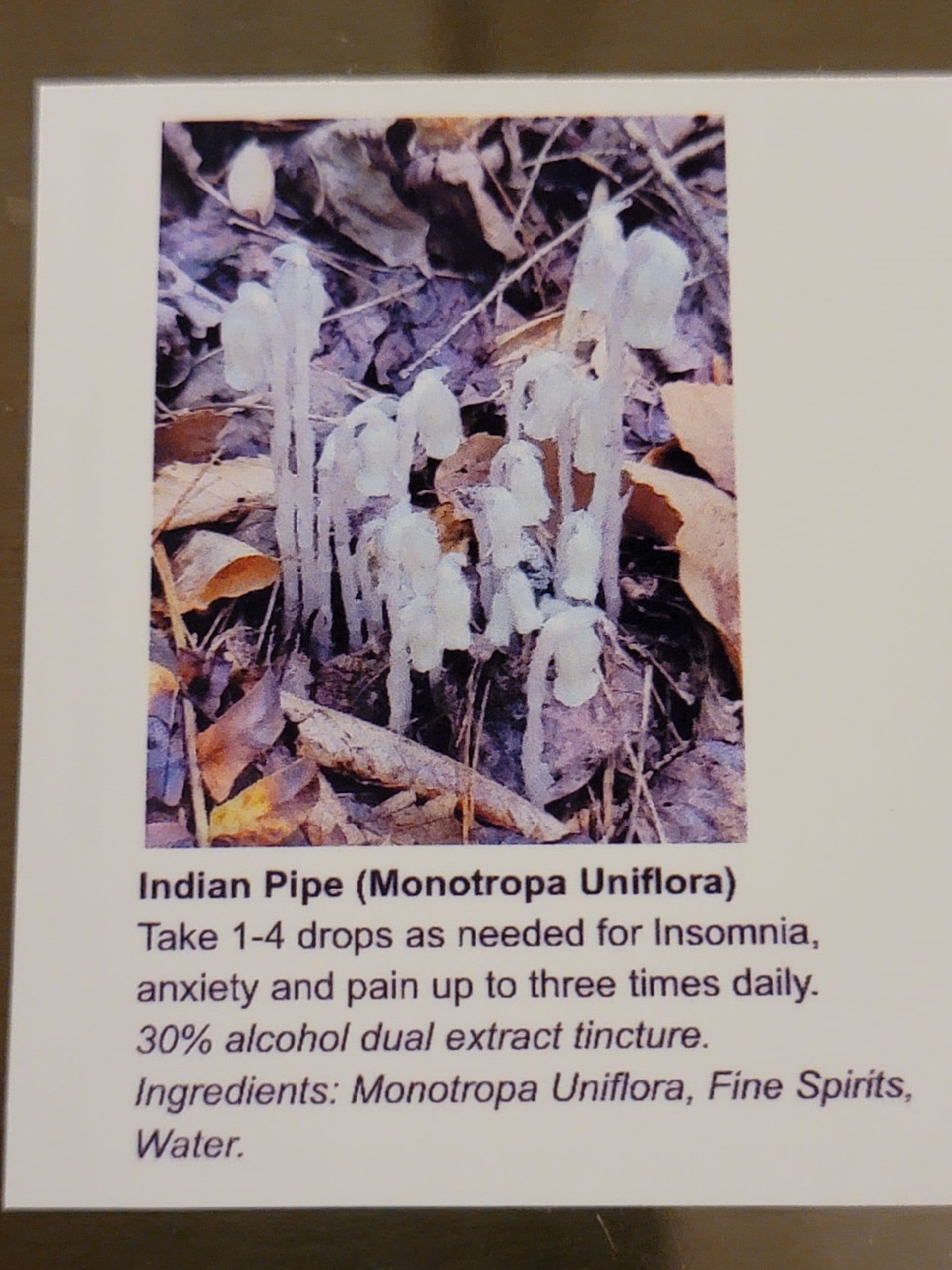 Product image #1